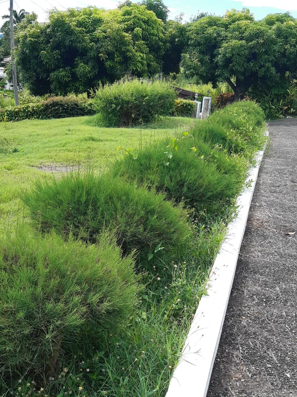Sixteenth image of 2 Wentworth st Mary in Wentworth, St. Mary, Jamaica - property is For Sale