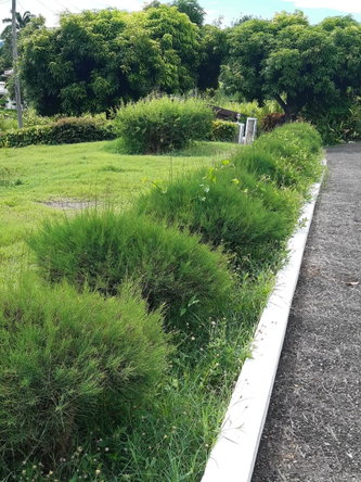 Sixteenth image of 2 Wentworth st Mary in Wentworth, St. Mary, Jamaica - property is For Sale