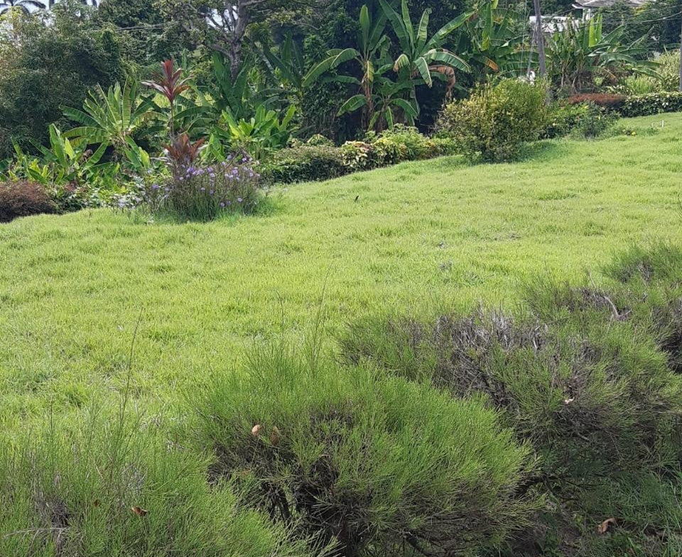 Seventeenth image of 2 Wentworth st Mary in Wentworth, St. Mary, Jamaica - property is For Sale