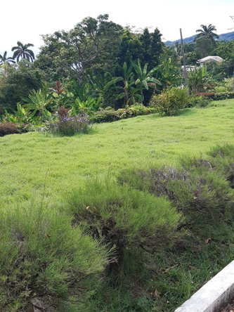 Seventeenth image of 2 Wentworth st Mary in Wentworth, St. Mary, Jamaica - property is For Sale