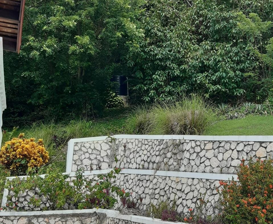 Eighteenth image of 2 Wentworth st Mary in Wentworth, St. Mary, Jamaica - property is For Sale