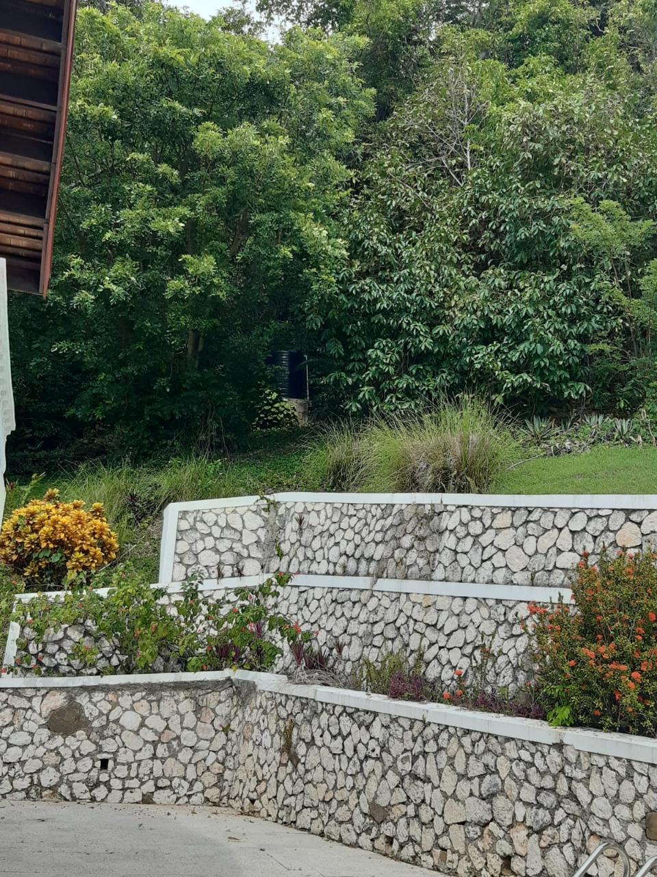 Eighteenth image of 2 Wentworth st Mary in Wentworth, St. Mary, Jamaica - property is For Sale