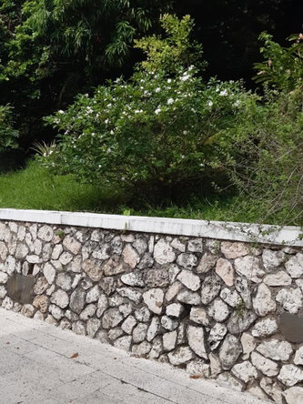 Nineteenth image of 2 Wentworth st Mary in Wentworth, St. Mary, Jamaica - property is For Sale