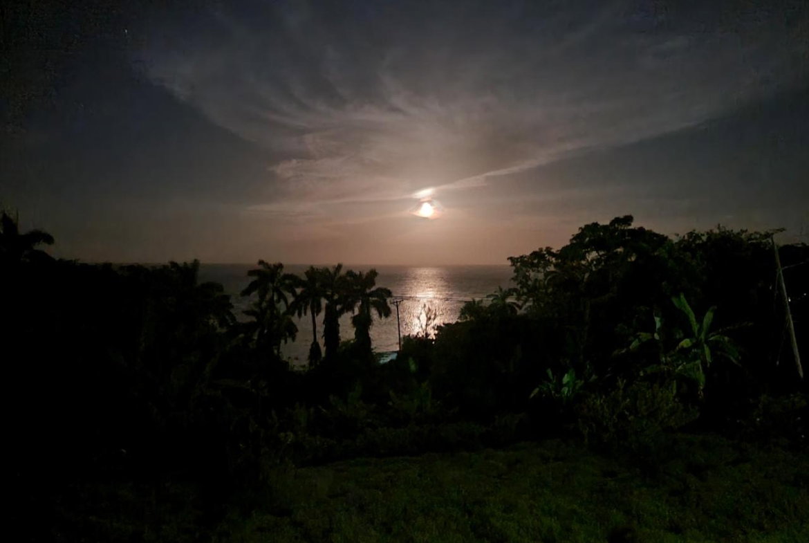 Twentieth image of 2 Wentworth st Mary in Wentworth, St. Mary, Jamaica - property is For Sale