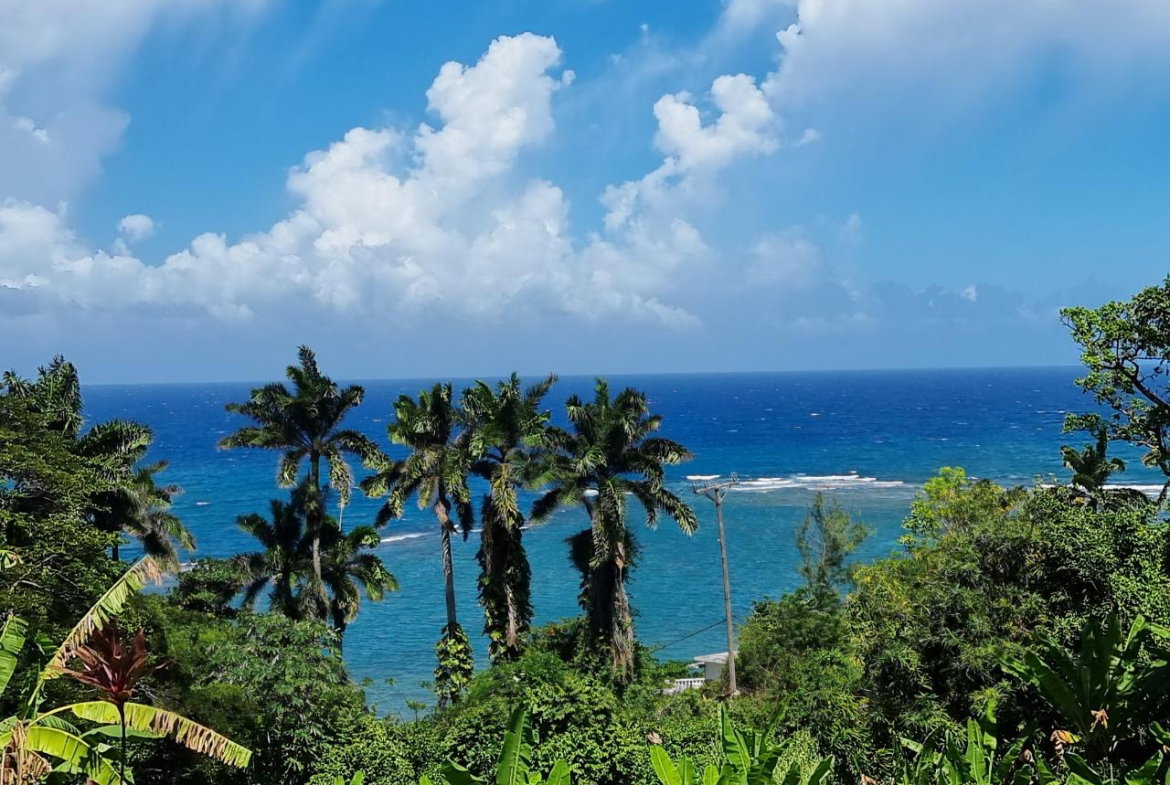 Twenty-First image of 2 Wentworth st Mary in Wentworth, St. Mary, Jamaica - property is For Sale