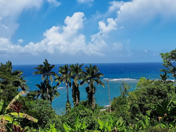 Twenty-First image of 2 Wentworth st Mary in Wentworth, St. Mary, Jamaica - property is For Sale