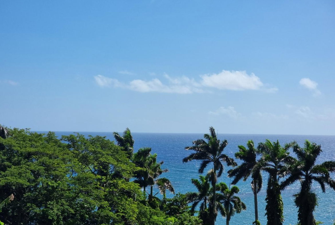 Twenty-Second image of 2 Wentworth st Mary in Wentworth, St. Mary, Jamaica - property is For Sale
