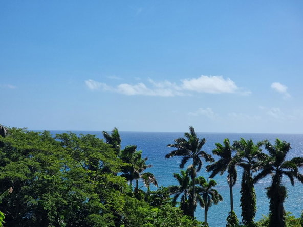Twenty-Second image of 2 Wentworth st Mary in Wentworth, St. Mary, Jamaica - property is For Sale