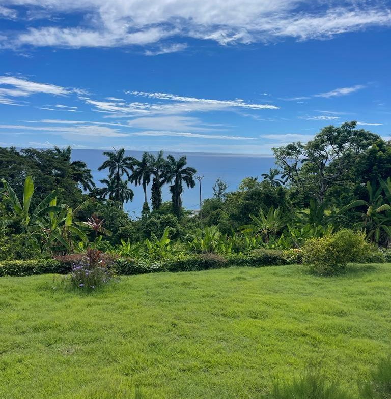Ninth image of 2 Wentworth st Mary in Wentworth, St. Mary, Jamaica - property is For Sale