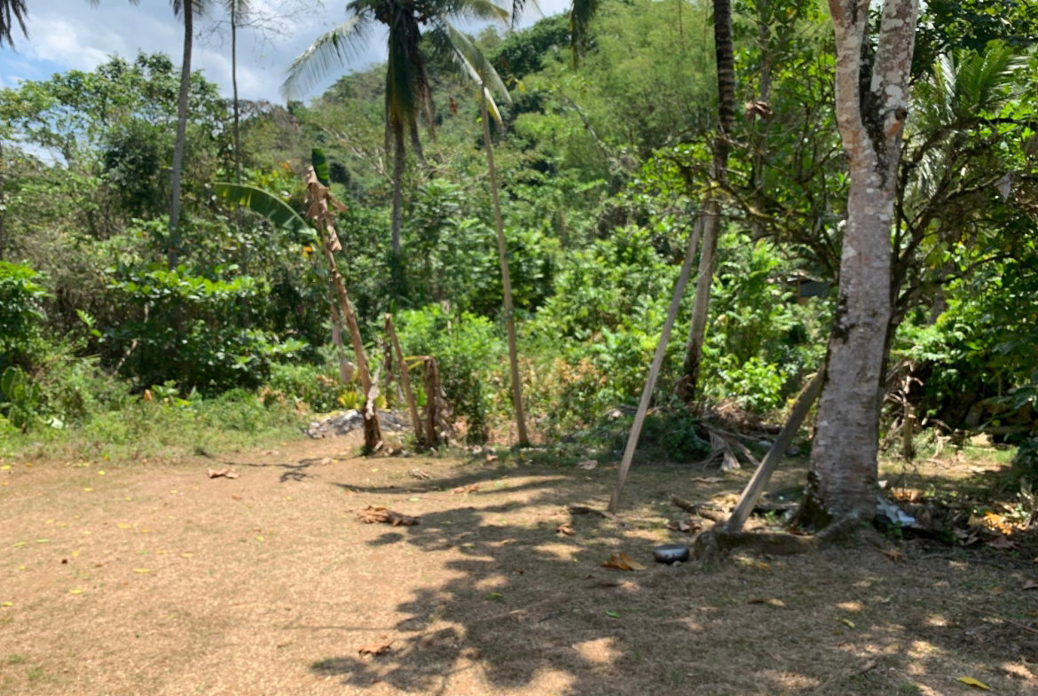 Twenty-Fifth image of Bunker's Hill in Bunkers Hill, Trelawny, Jamaica - property is For Sale
