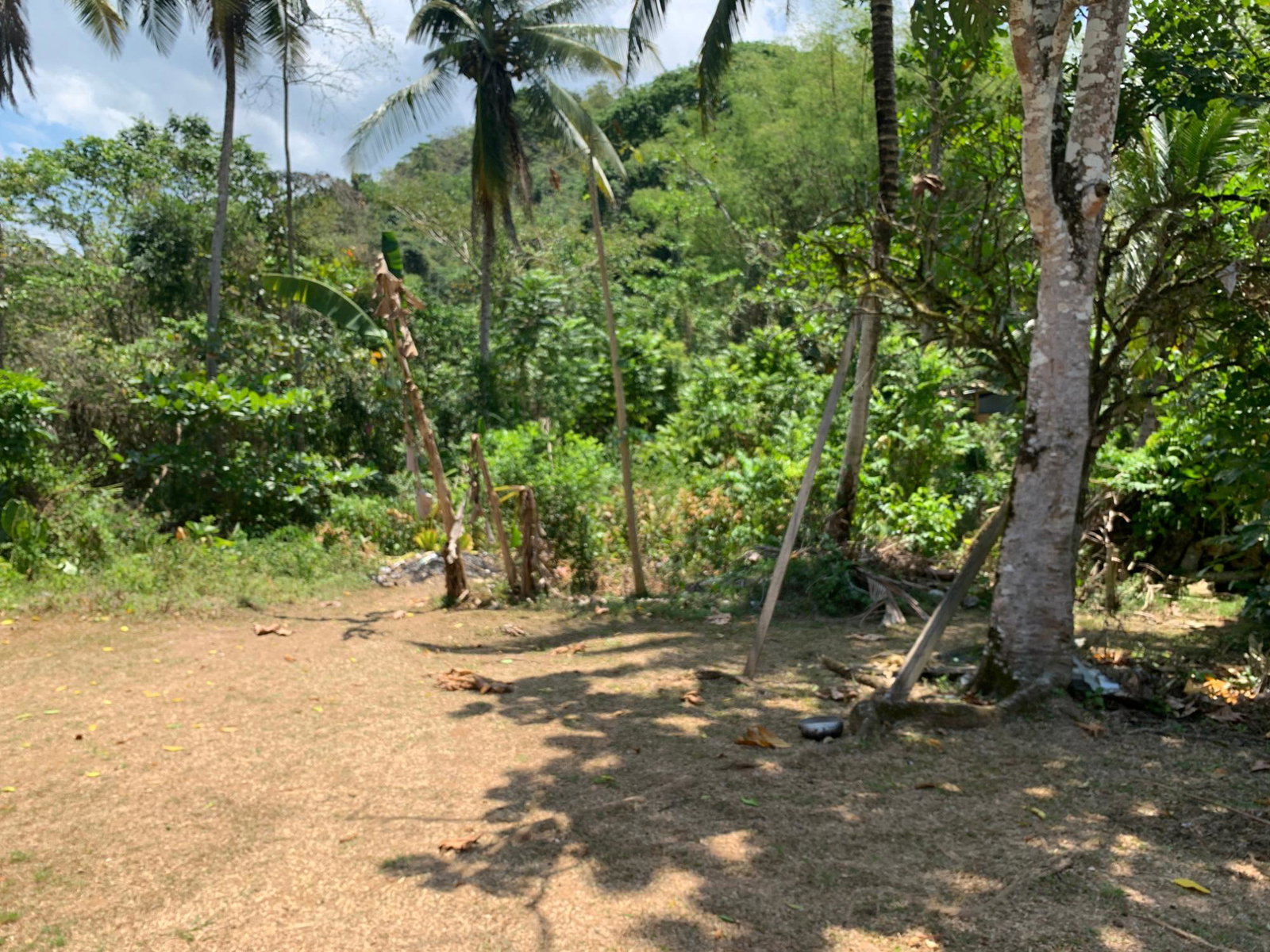 Charming-Fixer-Upper-in-Bunkers-Hill-Trelawny-Ideal-for-Families Twenty-Fifth image of Bunker's Hill in Bunkers Hill, Trelawny, Jamaica - property is For Sale