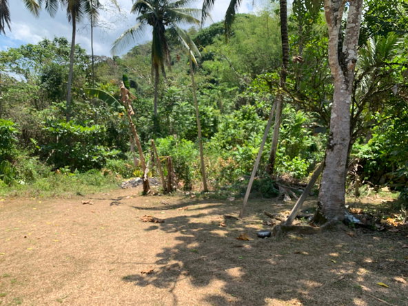 Twenty-Fifth image of Bunker's Hill in Bunkers Hill, Trelawny, Jamaica - property is For Sale