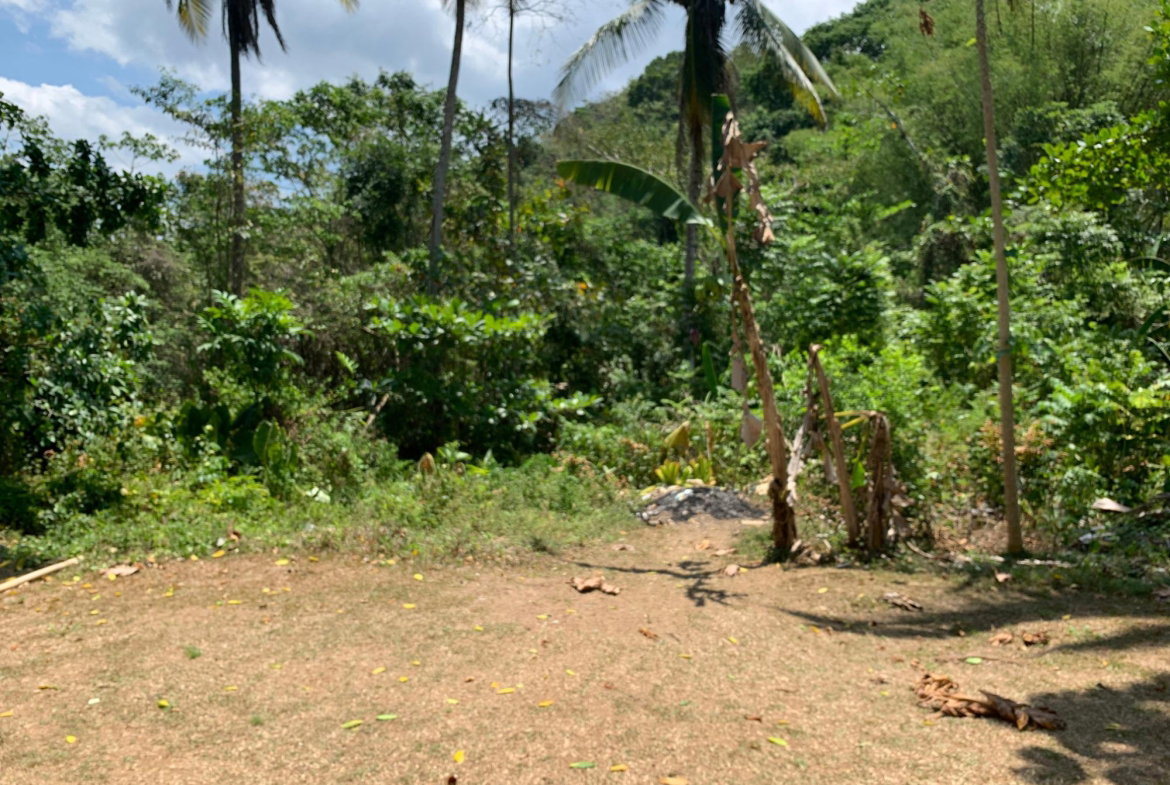 Twenty-Sixth image of Bunker's Hill in Bunkers Hill, Trelawny, Jamaica - property is For Sale