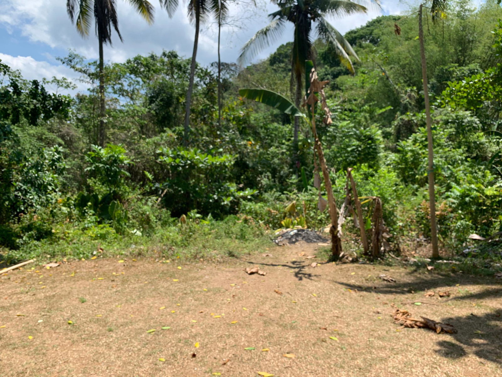 Charming-Fixer-Upper-in-Bunkers-Hill-Trelawny-Ideal-for-Families Twenty-Sixth image of Bunker's Hill in Bunkers Hill, Trelawny, Jamaica - property is For Sale