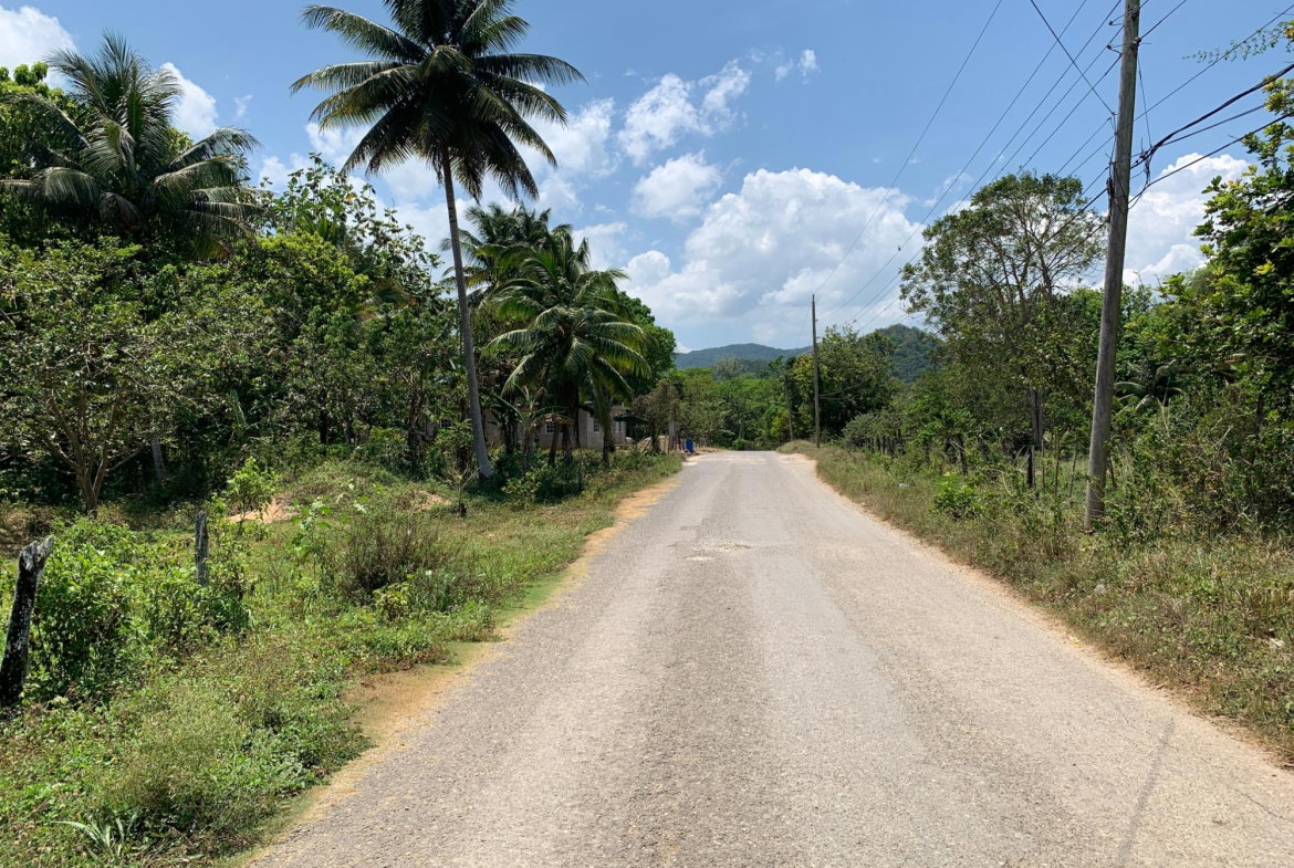 Twenty-Eighth image of Bunker's Hill in Bunkers Hill, Trelawny, Jamaica - property is For Sale