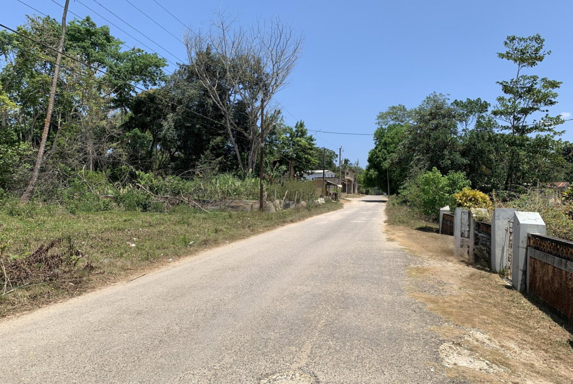 Twenty-Ninth image of Bunker's Hill in Bunkers Hill, Trelawny, Jamaica - property is For Sale