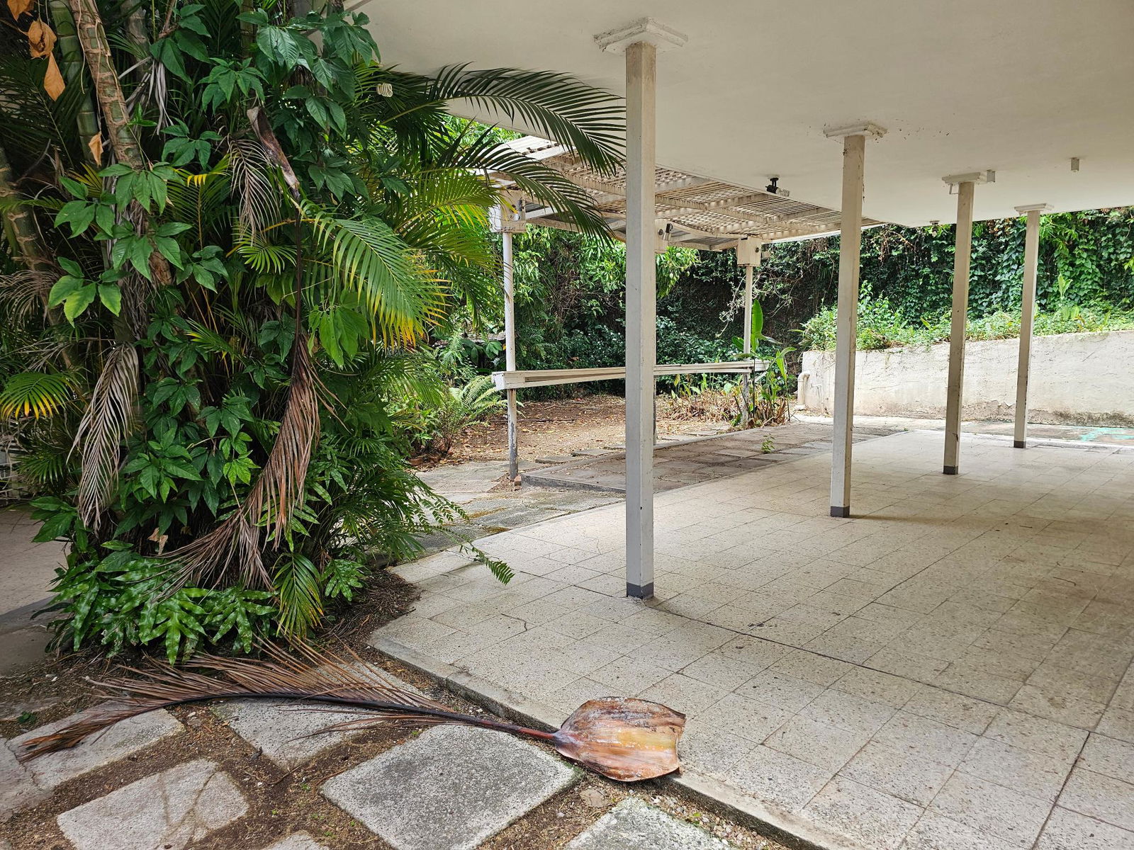 Fifth image of 1 Ewart Drive Cherry Garde in Cherry Gardens, St. Andrew, Jamaica - property is For Sale