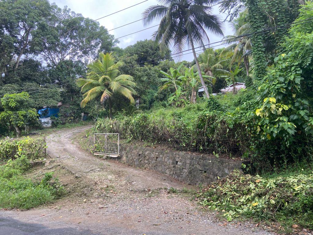 Second image of Orange River, Richmond in Richmond, St. Mary, Jamaica - property is For Sale