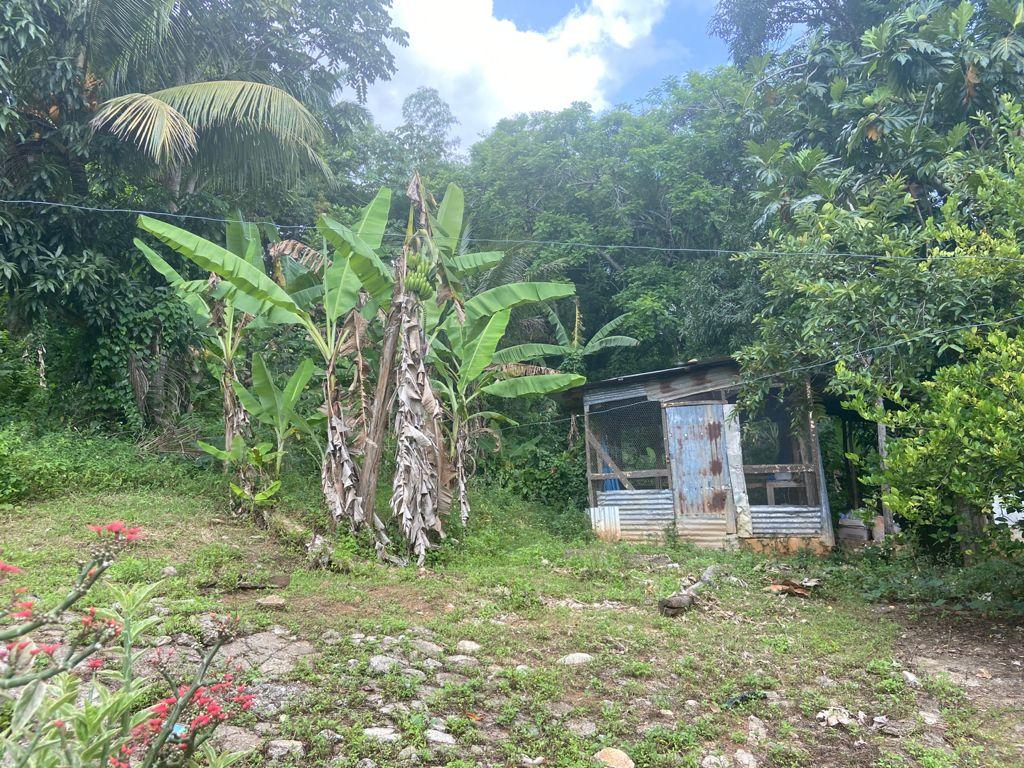 Fourteenth image of Orange River, Richmond in Richmond, St. Mary, Jamaica - property is For Sale