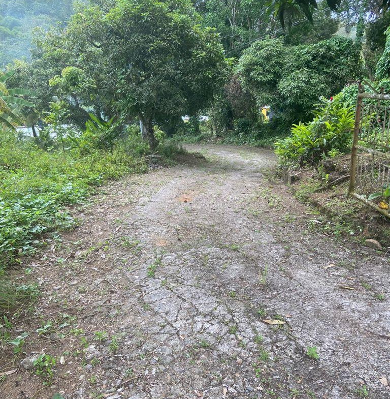 Third image of Orange River, Richmond in Richmond, St. Mary, Jamaica - property is For Sale