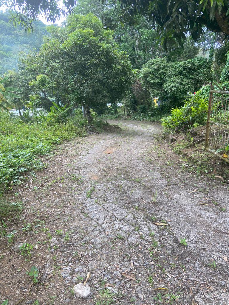 Third image of Orange River, Richmond in Richmond, St. Mary, Jamaica - property is For Sale
