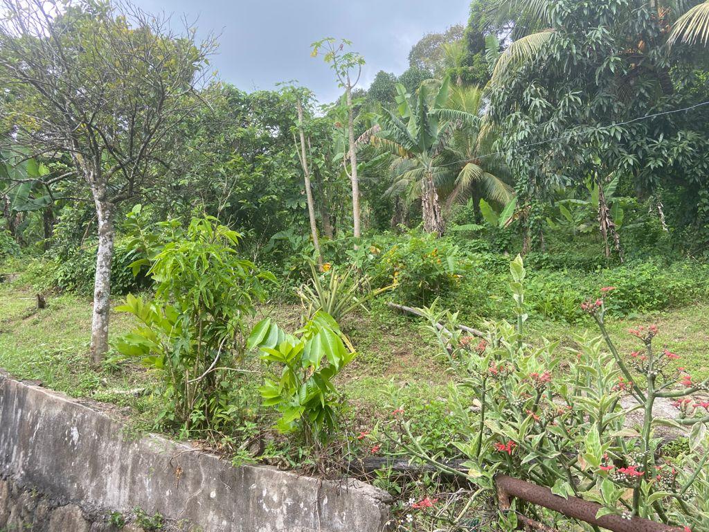 Fourth image of Orange River, Richmond in Richmond, St. Mary, Jamaica - property is For Sale