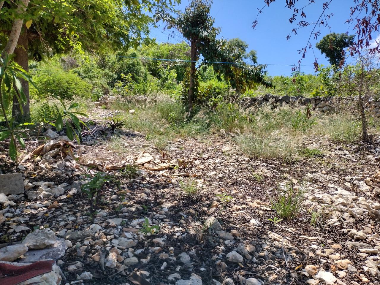 Twenty-Eighth image of Lot 190 Tortuga Drive in Montego Bay, St. James, Jamaica - property is For Sale