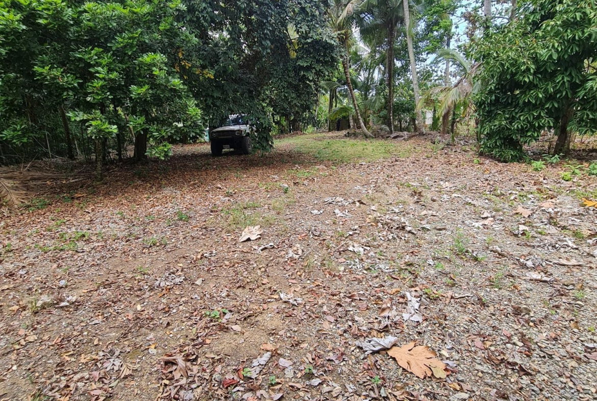 Thirteenth image of 61 Barham (friendship Dist) in Friendship, Westmoreland, Jamaica - property is For Sale