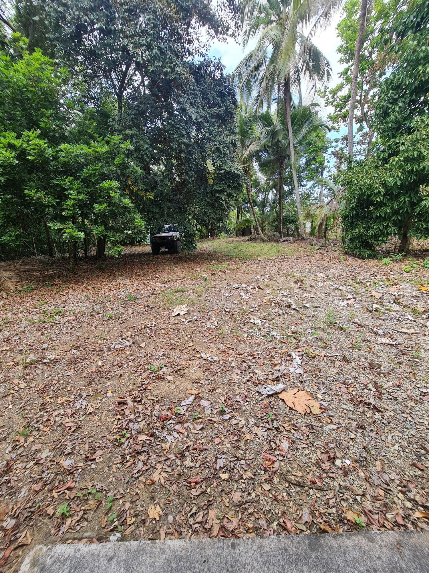 Thirteenth image of 61 Barham (friendship Dist) in Friendship, Westmoreland, Jamaica - property is For Sale