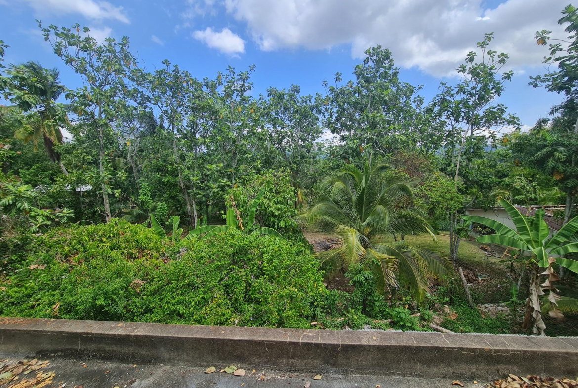 Fourteenth image of 61 Barham (friendship Dist) in Friendship, Westmoreland, Jamaica - property is For Sale