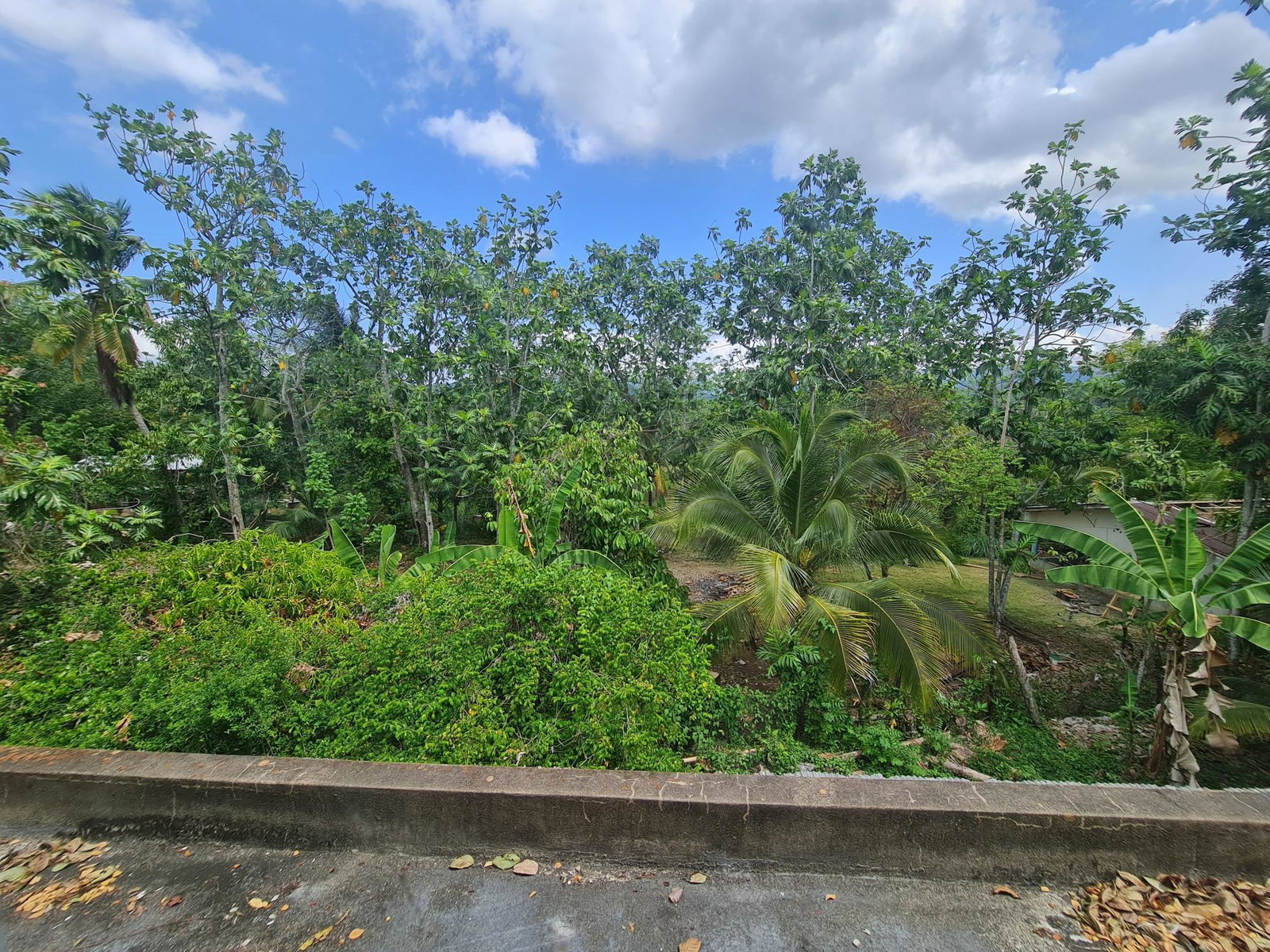 Fourteenth image of 61 Barham (friendship Dist) in Friendship, Westmoreland, Jamaica - property is For Sale
