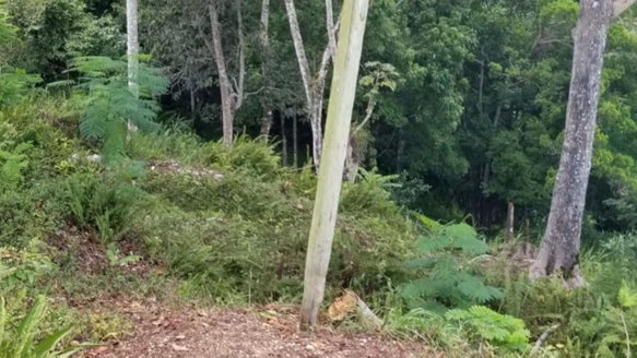 First image of Part of Beechamville in Beechamville, St. Ann, Jamaica - property is For Sale