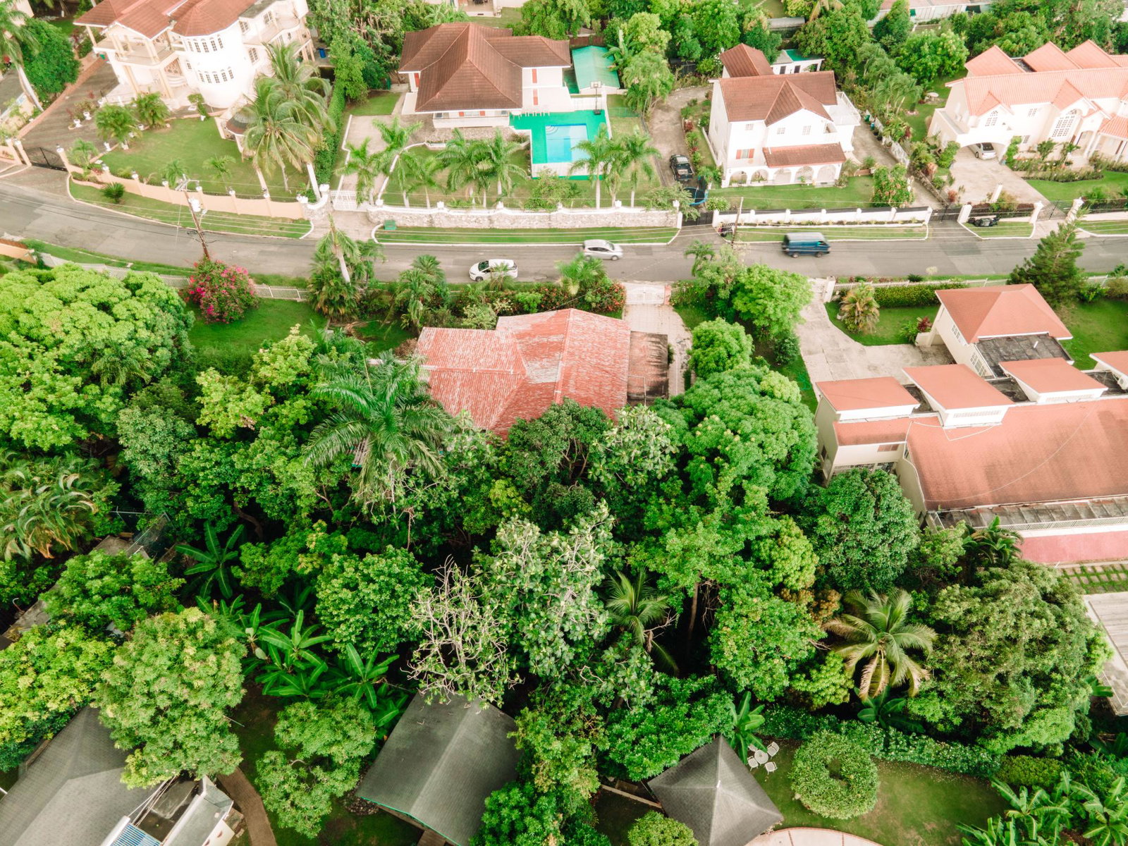 Twenty-Sixth image of 49 Cherry Drive in Cherry Gardens, St. Andrew, Jamaica - property is For Sale