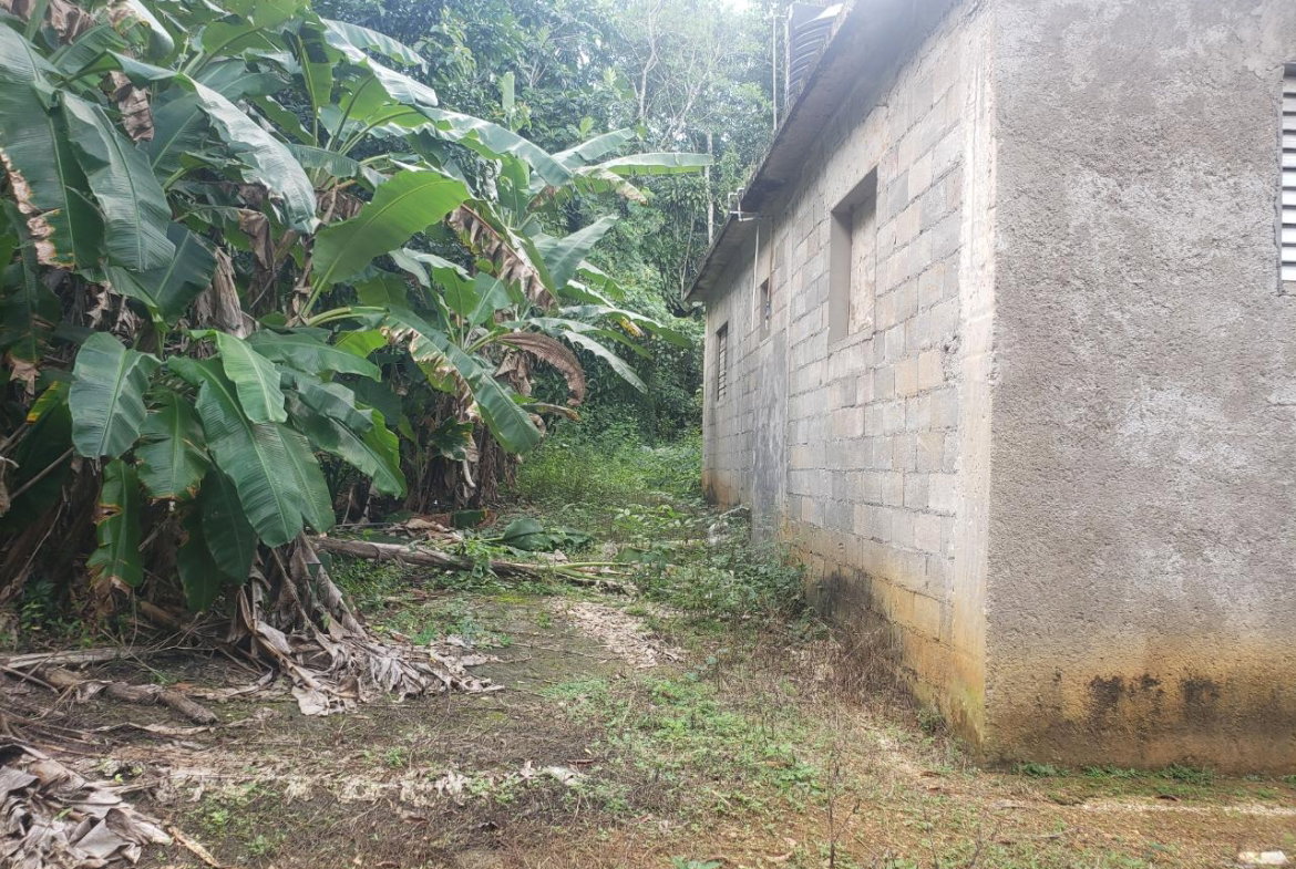 Second image of Clover Hill in Moneague, St. Ann, Jamaica - property is For Sale