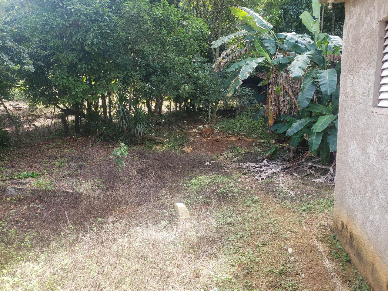 Third image of Clover Hill in Moneague, St. Ann, Jamaica - property is For Sale