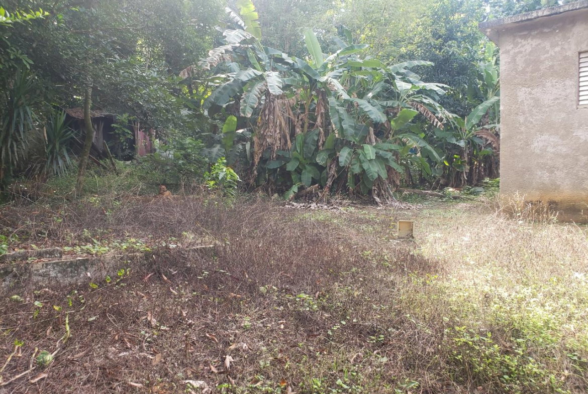 Fourth image of Clover Hill in Moneague, St. Ann, Jamaica - property is For Sale