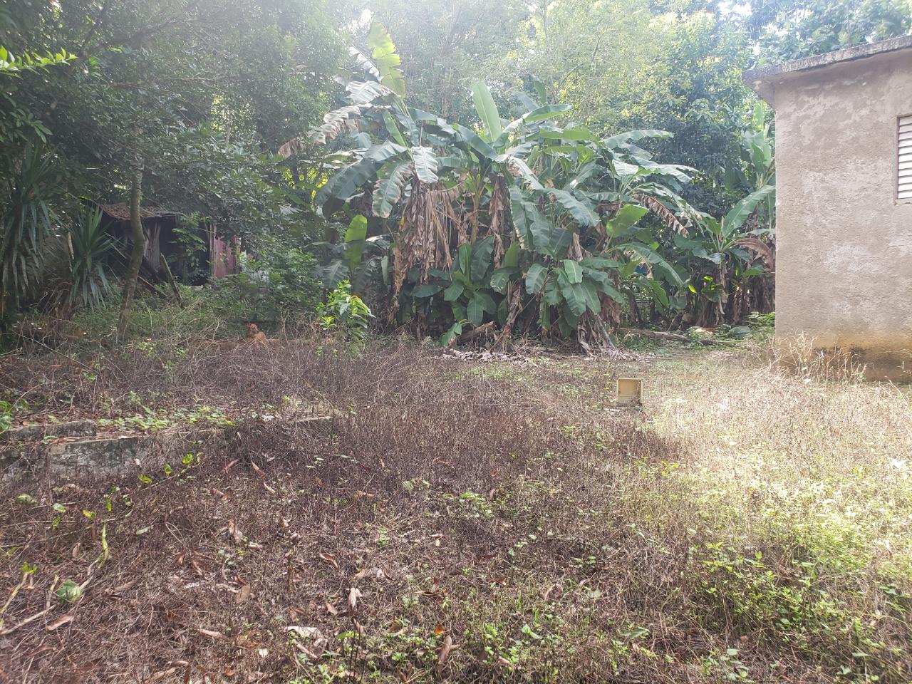Fourth image of Clover Hill in Moneague, St. Ann, Jamaica - property is For Sale