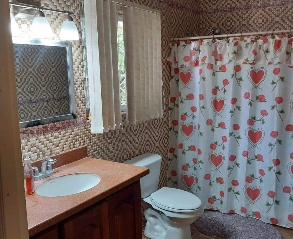 Nineteenth image of Heathfield District in Linstead, St. Catherine, Jamaica - property is For Sale