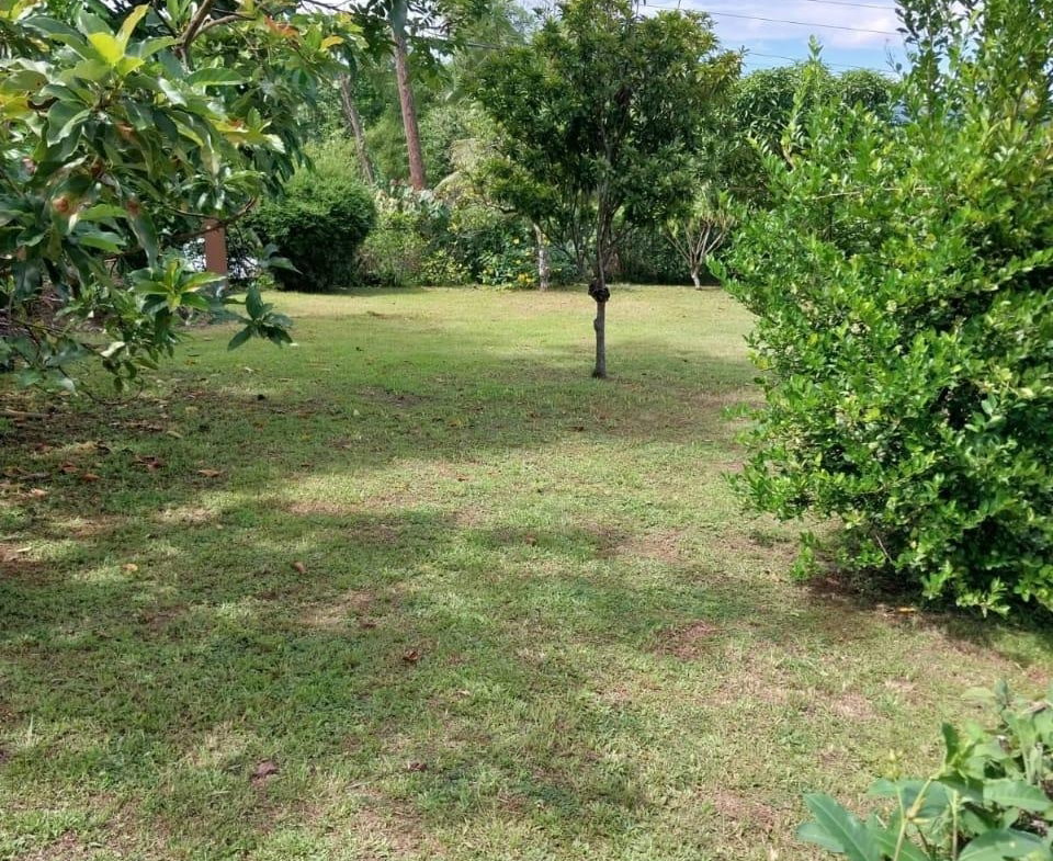 Seventh image of Heathfield District in Linstead, St. Catherine, Jamaica - property is For Sale