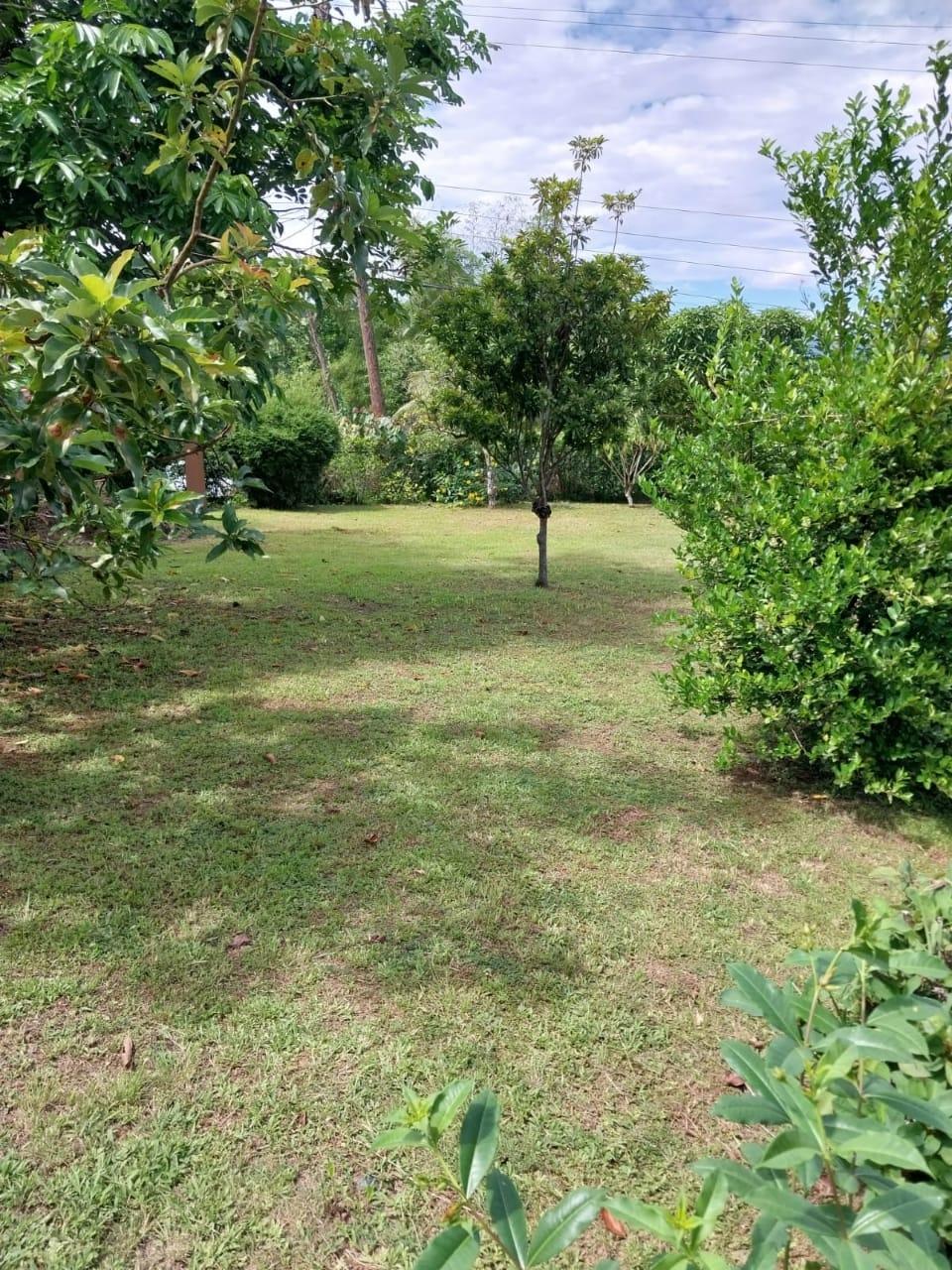 Seventh image of Heathfield District in Linstead, St. Catherine, Jamaica - property is For Sale