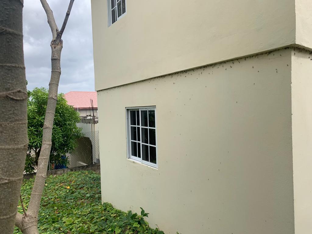 Fifth image of 54 Pansy Street, Longsville in Old Harbour, St. Catherine, Jamaica - property is For Sale