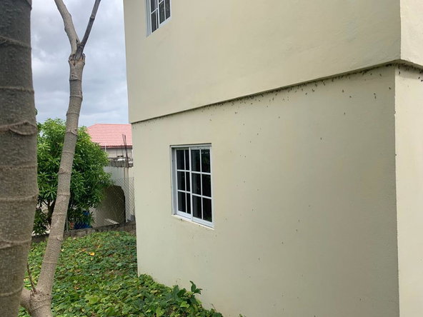 Fifth image of 54 Pansy Street, Longsville in Old Harbour, St. Catherine, Jamaica - property is For Sale