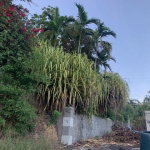 First image of 134 Mannings Hill in Mannings Hill, St. Andrew, Jamaica - property is For Sale