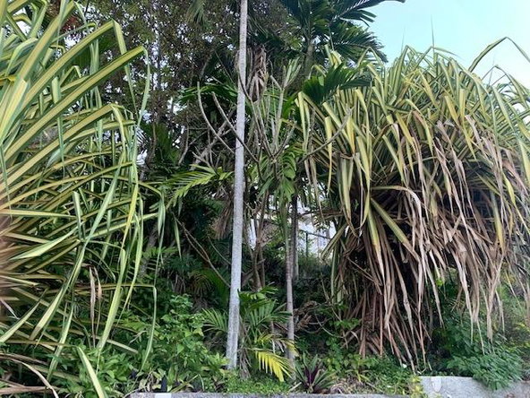 Fourth image of 134 Mannings Hill in Mannings Hill, St. Andrew, Jamaica - property is For Sale