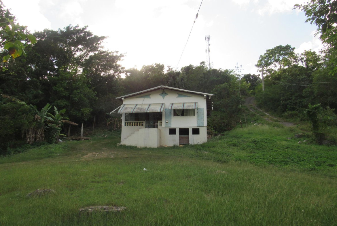 Second image of 265- Part of Petersville in Petersville, Westmoreland, Jamaica - property is For Sale