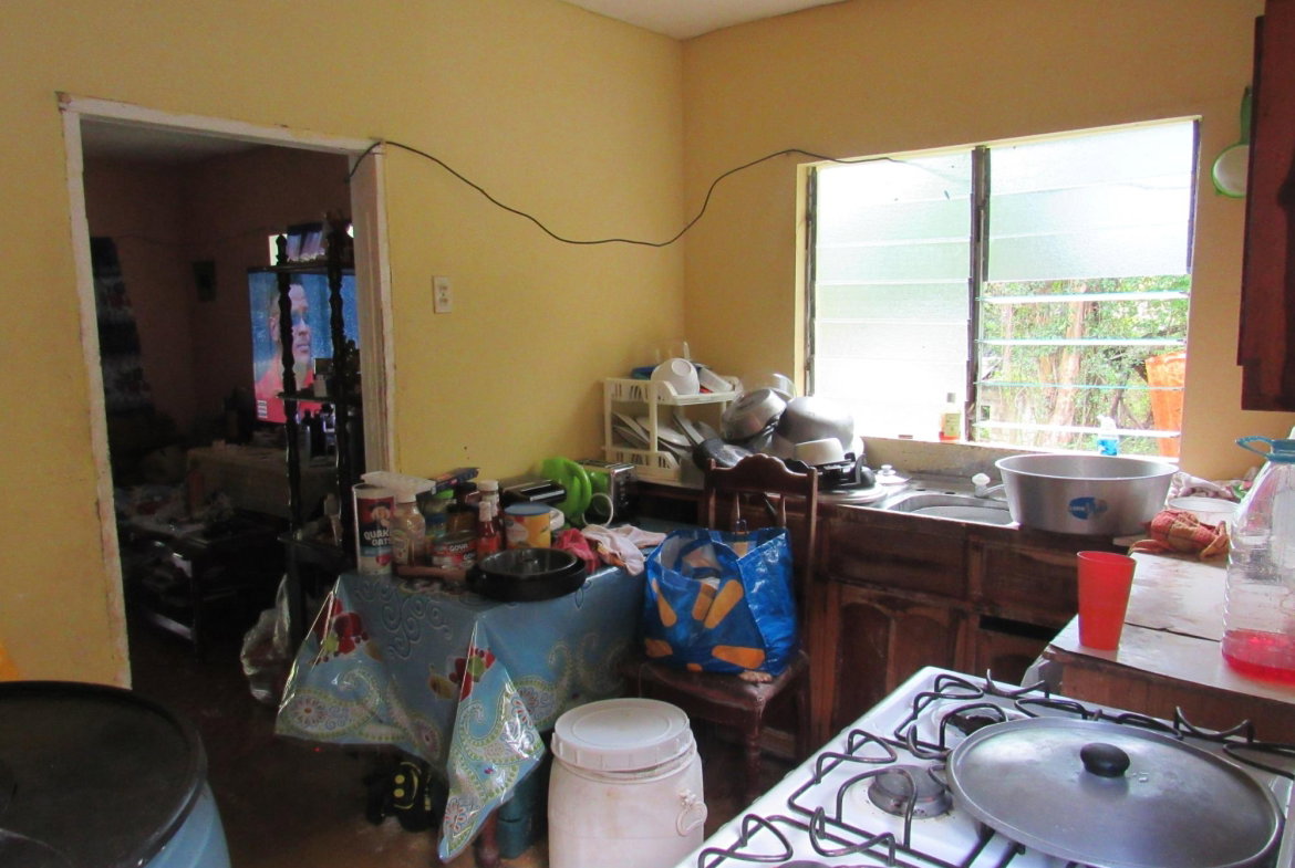 Eleventh image of 265- Part of Petersville in Petersville, Westmoreland, Jamaica - property is For Sale