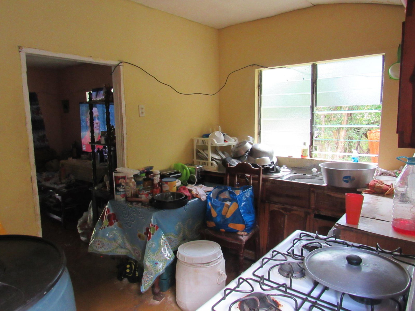 Eleventh image of 265- Part of Petersville in Petersville, Westmoreland, Jamaica - property is For Sale