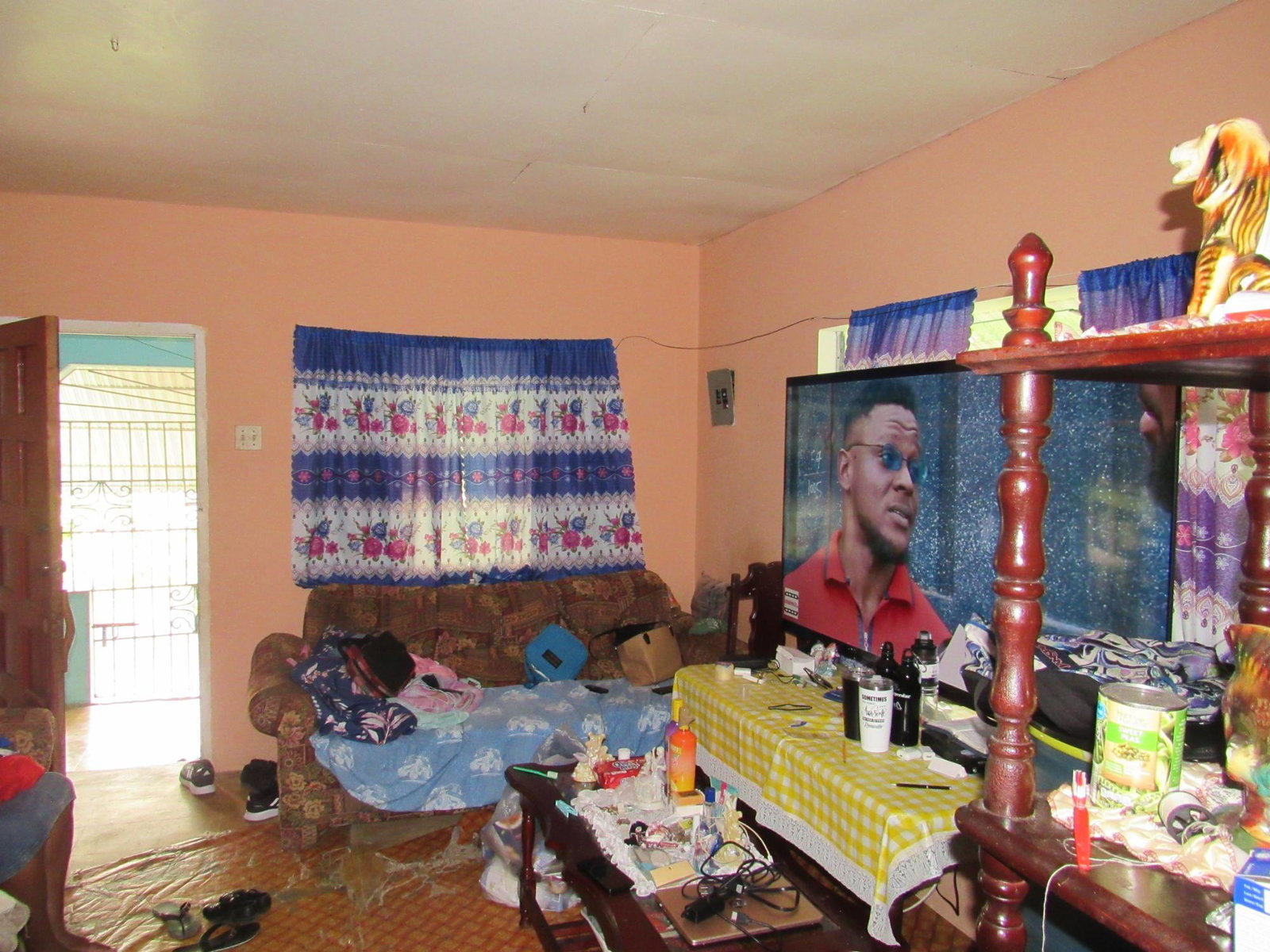 Twelfth image of 265- Part of Petersville in Petersville, Westmoreland, Jamaica - property is For Sale