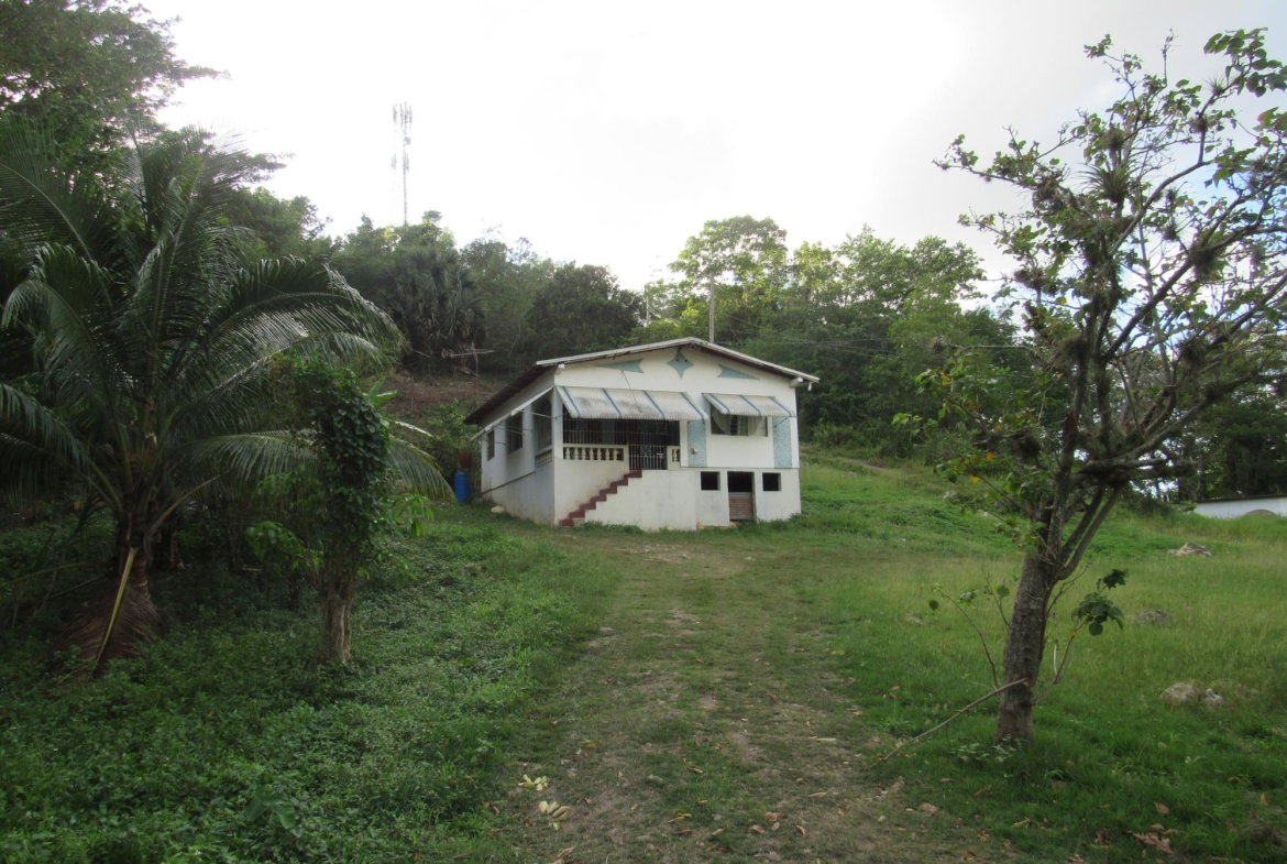 First image of 265- Part of Petersville in Petersville, Westmoreland, Jamaica - property is For Sale