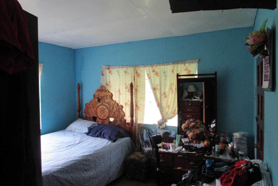 Thirteenth image of 265- Part of Petersville in Petersville, Westmoreland, Jamaica - property is For Sale